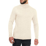 Turtleneck Solid Wool Sweater // Cream (S)