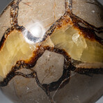 Genuine Polished Septarian Sphere on Acrylic Stand