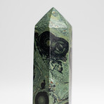 Genuine Polished Kambaba Jasper Point // 102 grams