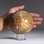 Genuine Polished Ocean Jasper Sphere on Acrylic Stand