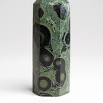 Genuine Polished Kambaba Jasper Point // 102 grams
