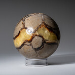 Genuine Polished Septarian Sphere on Acrylic Stand