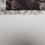 Dine // Hand Colored Vienese Hearts #1 // 1990