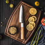 Kenji Japanese Damascus Kitchen Knife Set // Set of 5