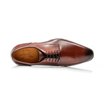 Amberes Sport Derby Marrone // Brown (Euro: 45)