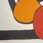 Calder // La pointe du progrès / The Cutting Edge from La Memoire Elementaire // 1976