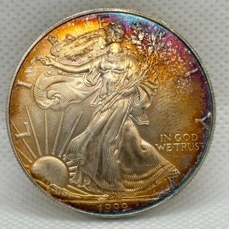 1999 Silver Eagle TONING