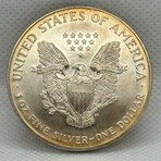 1999 Silver Eagle TONING
