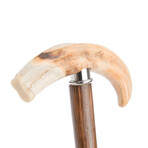 Warthog Tusk Cane // Brown