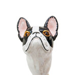 French Bulldog Cane // Black