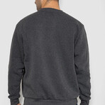 Crewneck Blocked Sweater // Dark Gray (M)