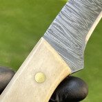 Damascus Fillet Knife