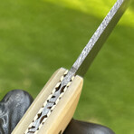 Damascus Fillet Knife