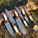 Damascus Kitchen Knife // 6 pcs Set