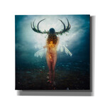 Shelter (18"W x 18"H x 0.75"D)