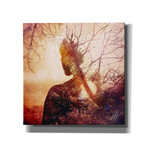 Maps (18"W x 18"H x 0.75"D)