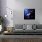 Last Travel of the Butterflies (18"W x 18"H x 0.75"D)