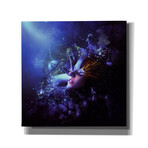 Last Travel of the Butterflies (18"W x 18"H x 0.75"D)