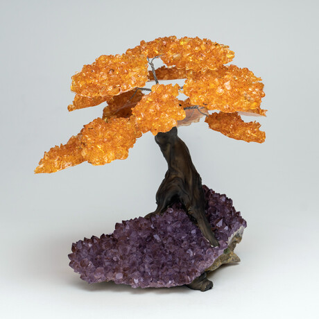 Large Genuine Citrine Clustered Gemstone Tree on Amethyst Matrix // The Money Tree