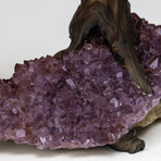 Large Genuine Citrine Clustered Gemstone Tree on Amethyst Matrix // The Money Tree