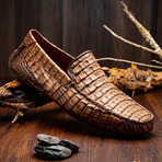 Remo // Caiman Fuscus Leather Penny Loafers // Brown (US: 9)