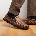 Remo // Caiman Fuscus Leather Penny Loafers // Brown (US: 9)