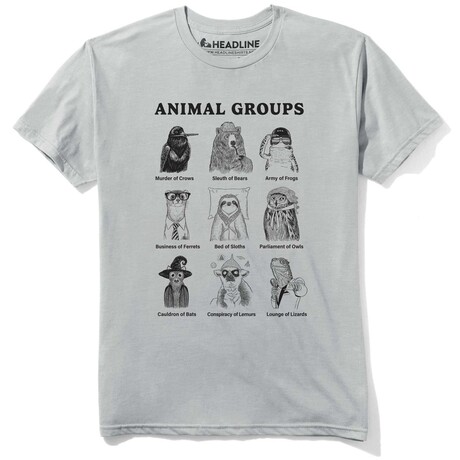Animal Groups (XS)