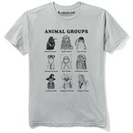 Animal Groups (S)