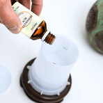 6-Piece: Island Gateway Pure Aromatherapy Essential Oil Gift Set (10ml, 0.33 fl oz)