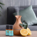 10-Piece: Fruity Fragrance Premium Aromatherapy Diffuser Oils Gift Set For Candle & Soap Making (10ml, 0.33 fl oz)