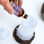 6-Piece: 100% Pure Therapeutic-Grade Top Blends Aromatherapy Essential Oils Gift Set (10ml, 0.33 fl oz)