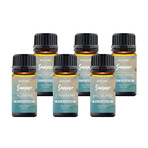 6-Piece: Summer Vibe Fresh Scented Aromatherapy Essential Oil Gift Set (10ml, 0.33 fl oz)