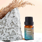 6-Piece: Summer Vibe Fresh Scented Aromatherapy Essential Oil Gift Set (10ml, 0.33 fl oz)