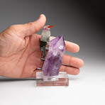 Genuine Polished Hand Carved Fluorite Hummingbird on a Amethyst Point (4.5"h)