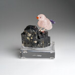 Genuine Polished Hand Carved Fluorite Finch on a Black Tourmaline (3"h)