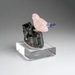 Genuine Polished Hand Carved Fluorite Finch on a Black Tourmaline (3"h)