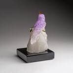 Genuine Polished Hand Carved Fluorite Hummingbird on a Green Tourmaline in Quartz Matrix (4"h)