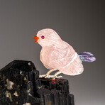 Genuine Polished Hand Carved Fluorite Finch on a Black Tourmaline (3"h)