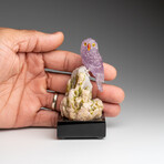 Genuine Polished Hand Carved Fluorite Owl on a Green Tourmaline in Quartz Matrix (4"h)