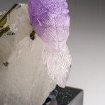 Genuine Polished Hand Carved Fluorite Hummingbird on a Green Tourmaline in Quartz Matrix (4"h)
