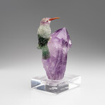 Genuine Polished Hand Carved Fluorite Hummingbird on a Amethyst Point (4.5"h)