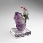 Genuine Polished Hand Carved Fluorite Hummingbird on a Amethyst Point (4.5"h)