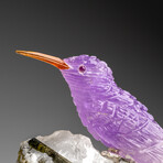 Genuine Polished Hand Carved Fluorite Hummingbird on a Green Tourmaline in Quartz Matrix (4"h)