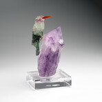 Genuine Polished Hand Carved Fluorite Hummingbird on a Amethyst Point (4.5"h)