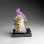 Genuine Polished Hand Carved Fluorite Hummingbird on a Green Tourmaline in Quartz Matrix (4"h)