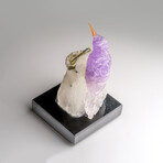 Genuine Polished Hand Carved Fluorite Hummingbird on a Green Tourmaline in Quartz Matrix (4"h)