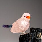 Genuine Polished Hand Carved Fluorite Finch on a Black Tourmaline (3"h)