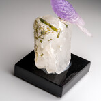 Genuine Polished Hand Carved Fluorite Hummingbird on a Green Tourmaline in Quartz Matrix (4"h)