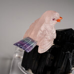 Genuine Polished Hand Carved Fluorite Finch on a Black Tourmaline (3"h)