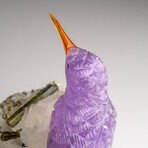 Genuine Polished Hand Carved Fluorite Hummingbird on a Green Tourmaline in Quartz Matrix (4"h)